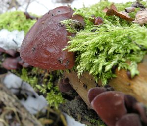 Klikni pro velký obrázek