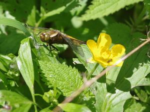 Klikni pro velký obrázek