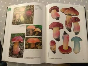 Klikni pro velký obrázek