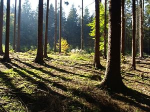 Klikni pro velký obrázek