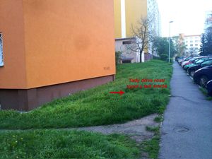 Klikni pro velký obrázek