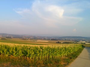 Klikni pro velký obrázek