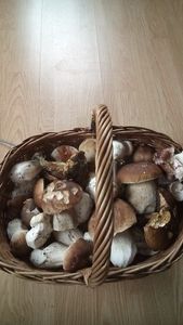 Klikni pro velký obrázek