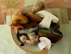 Klikni pro velký obrázek