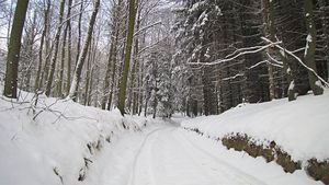 Klikni pro velký obrázek