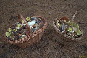 Klikni pro velký obrázek