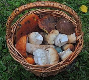 Klikni pro velký obrázek