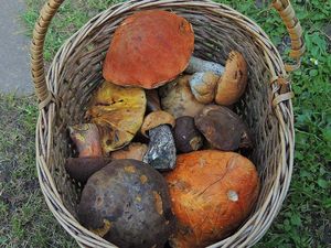 Klikni pro velký obrázek