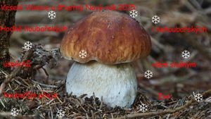 Klikni pro velký obrázek