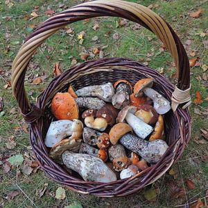 Klikni pro velký obrázek