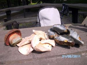 Klikni pro velký obrázek