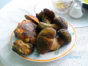 Klikni pro velký obrázek