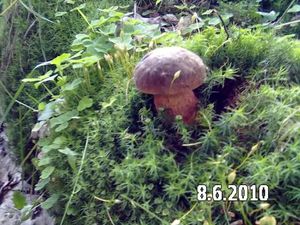 Klikni pro velký obrázek