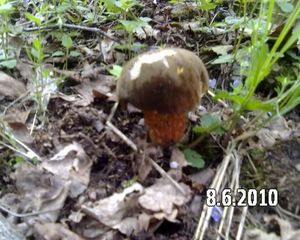 Klikni pro velký obrázek