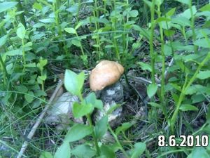 Klikni pro velký obrázek