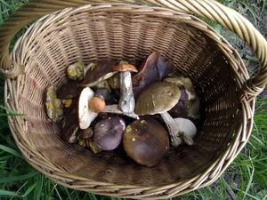 Klikni pro velký obrázek