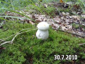 Klikni pro velký obrázek