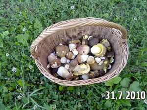 Klikni pro velký obrázek