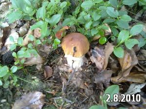 Klikni pro velký obrázek