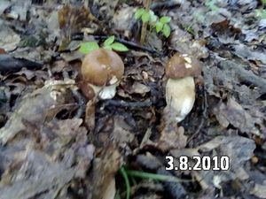 Klikni pro velký obrázek