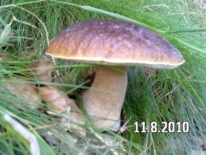 Klikni pro velký obrázek