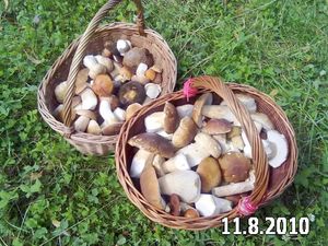 Klikni pro velký obrázek