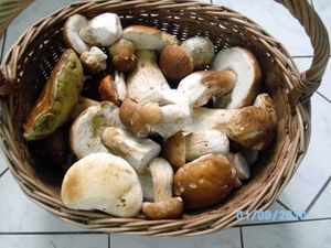 Klikni pro velký obrázek