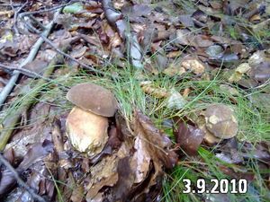 Klikni pro velký obrázek