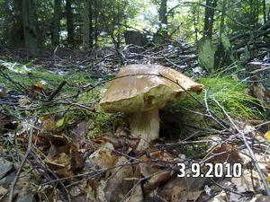 Klikni pro velký obrázek