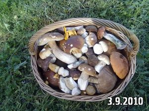 Klikni pro velký obrázek