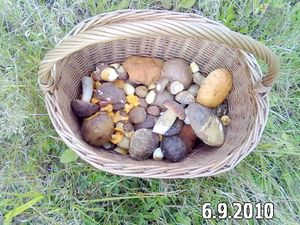 Klikni pro velký obrázek