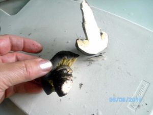 Klikni pro velký obrázek