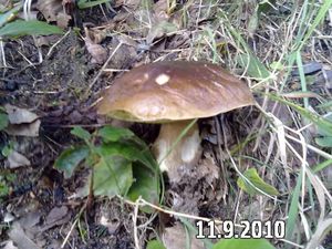 Klikni pro velký obrázek