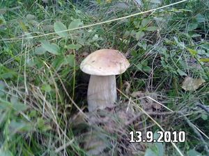 Klikni pro velký obrázek