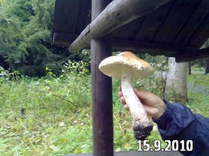 Klikni pro velký obrázek