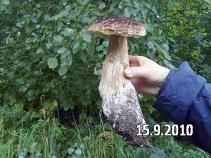 Klikni pro velký obrázek