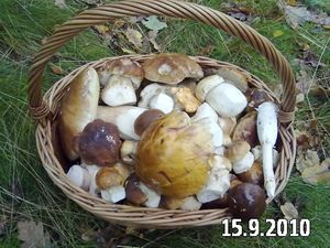 Klikni pro velký obrázek