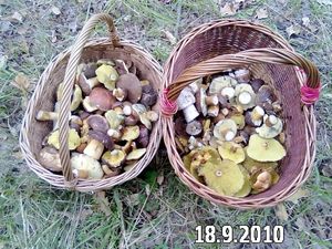 Klikni pro velký obrázek