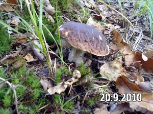 Klikni pro velký obrázek