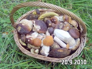 Klikni pro velký obrázek