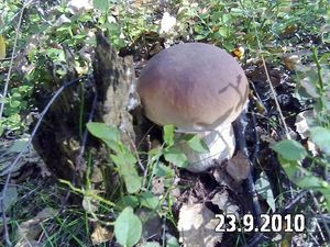 Klikni pro velký obrázek