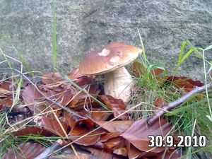 Klikni pro velký obrázek