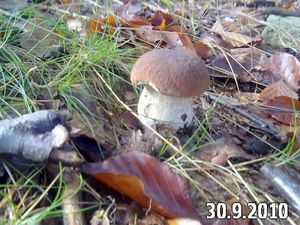 Klikni pro velký obrázek