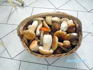 Klikni pro velký obrázek