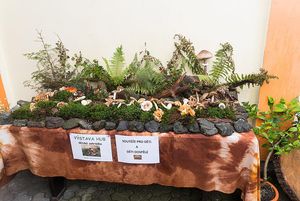 Klikni pro velký obrázek