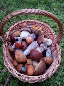 Klikni pro velký obrázek