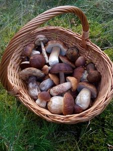 Klikni pro velký obrázek