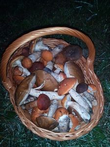 Klikni pro velký obrázek