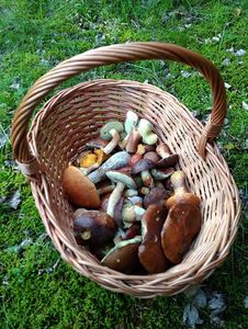 Klikni pro velký obrázek