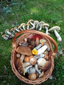 Klikni pro velký obrázek